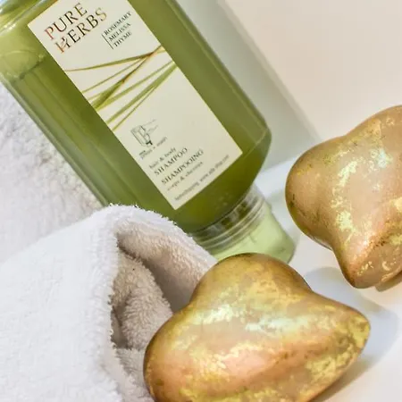 Bernhard 홀츠가우