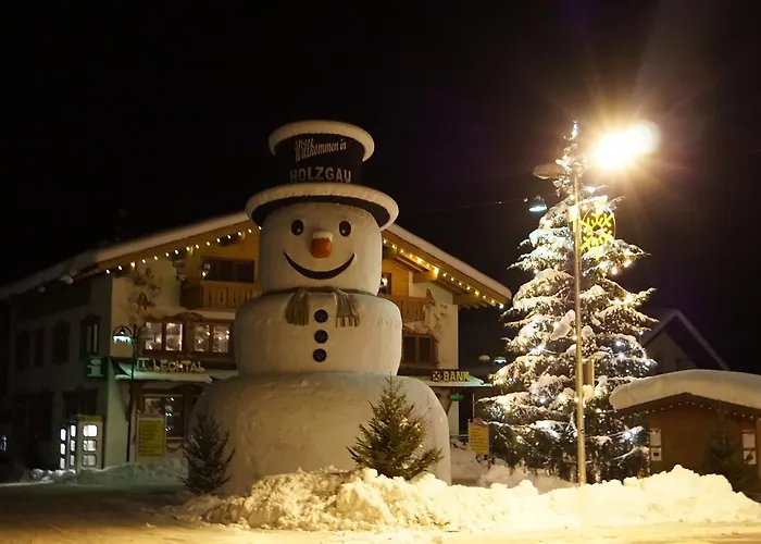 Apartament Bernhard Holzgau