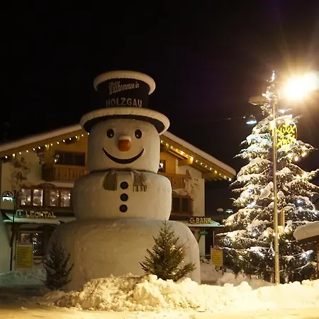 Apartamento Bernhard Holzgau